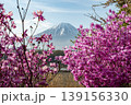精進湖から望む富士山とミツバツツジ 139156330