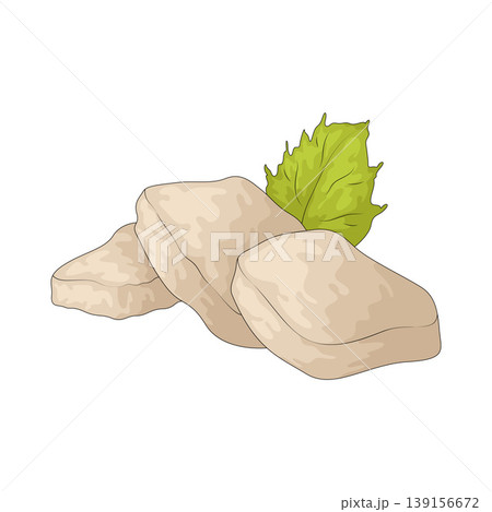 Illustration of scallop sashimi Illustration of scallop sashimi 139156672