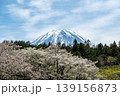 朝霧高原から望む富士山と満開の桜 139156873