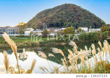 【平塚市の山】高麗山 139157133