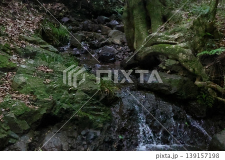 山道と新緑 山道と新緑 139157198