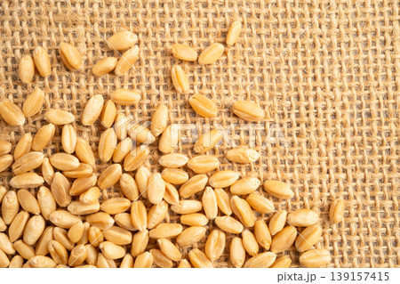 Wheat and grains ears agricultural, organic farm concept. Wheat and grains ears agricultural, organic farm concept. 139157415