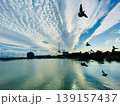 鳥と空と雲 139157437