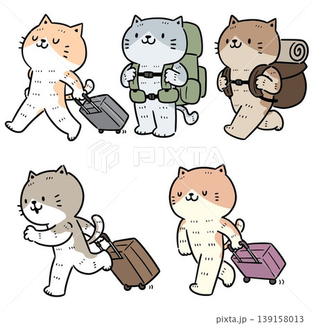 vector set of cat travel 139158013