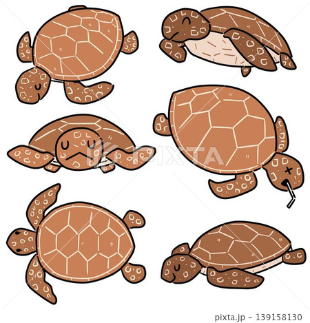vector set of sea turtle vector set of sea turtle 139158130