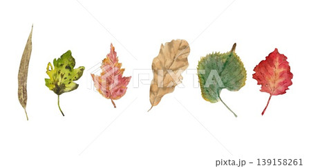 A rectangular horizontal composition of red, purple, orange, yellow, and green autumn leaves, hand-painted in watercolor on an isolated background. Vibrant botanical autumn clip art for design. A rectangular horizontal composition of red, purple, orange, yellow, and green autumn leaves, hand-painted in watercolor on an isolated background. Vibrant botanical autumn clip art for design. 139158261