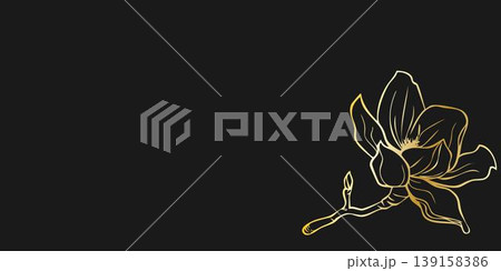 Elegant gold line art illustration of magnolia flowers on black dackground. Vintage botanical design Elegant gold line art illustration of magnolia flowers on black dackground. Vintage botanical design 139158386