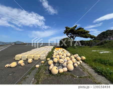 漁業用フロートと松の木と港の風景 漁業用フロートと松の木と港の風景 139158434