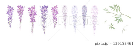 藤の花の水彩イラスト素材セット - 透過PNG、ヘッダー、パーツ、フレーム 藤の花の水彩イラスト素材セット - 透過PNG、ヘッダー、パーツ、フレーム 139158461