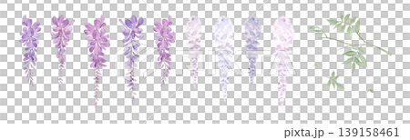 藤の花の水彩イラスト素材セット - 透過PNG、ヘッダー、パーツ、フレーム 藤の花の水彩イラスト素材セット - 透過PNG、ヘッダー、パーツ、フレーム 139158461
