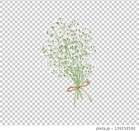 かすみ草の白いブーケ、金色のリボン付き、透過背景 かすみ草の白いブーケ、金色のリボン付き、透過背景 139158592