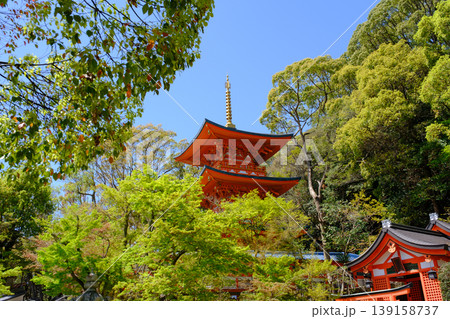 神戸・須磨寺・三重塔 139158737