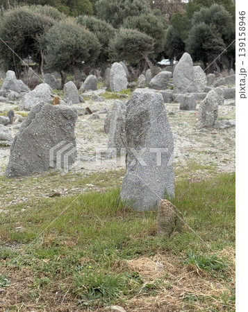 Megalithic stone circle in grassy landscape with scattered rocks and trees in background Megalithic stone circle in grassy landscape with scattered rocks and trees in background 139158946