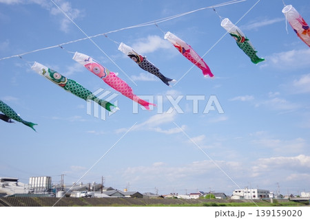 青空に泳ぐ鯉のぼり 青空に泳ぐ鯉のぼり 139159020