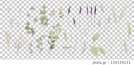 水彩桉樹和滿天星乾花套裝 - 透明 PNG 裝飾材料 139159131