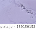 大理石の上に散らばる水晶 139159152