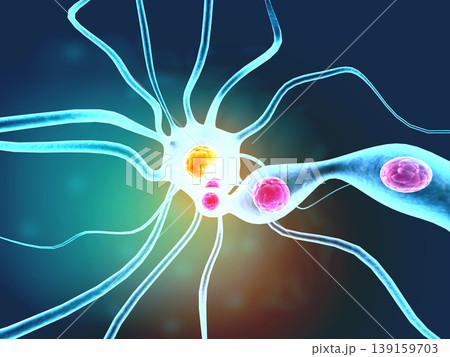 Neural network in the brain. nervous system Neural network in the brain. nervous system 139159703
