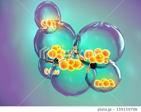Stem cells 139159706