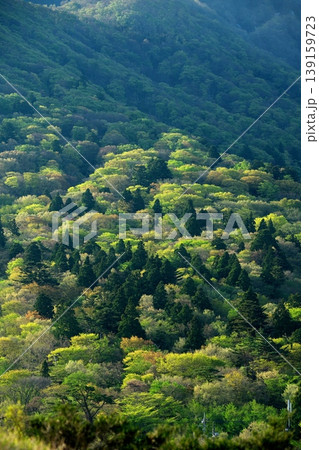 鳥取県の春の新緑と伯耆大山 鳥取県の春の新緑と伯耆大山 139159723