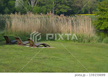 Lakeside Park With Reeds And Sun Loungers Lakeside Park With Reeds And Sun Loungers 139159899