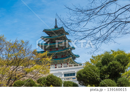 Seoul, South Korea - Apr. 12 , 2026 : The National Folk Museum of Korea with spring blossoms in Gyeongbokgung Palace, Seoul 139160015
