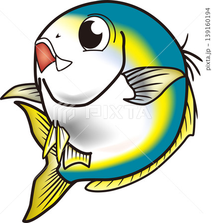 かわいい魚イラスト　ブリ　ベクター形式　白背景単体 139160194