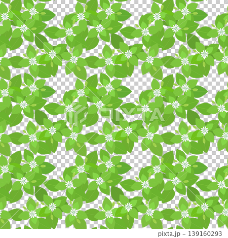 Seamless pattern of chickweed flowers Seamless pattern of chickweed flowers 139160293