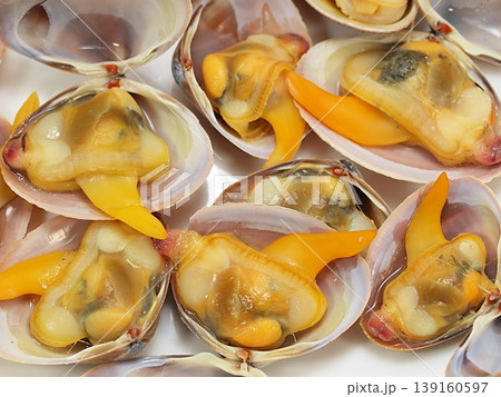 ボイルしたシオフキガイのアップ 139160597