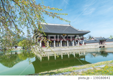 Seoul, South Korea - Apr. 12 , 2026 : Gyeonghoeru Pavilion in Gyeongbokgung Palace with cherry blossoms in Spring, Seoul, South Korea 139160641