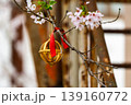 春の日差しを浴びる桜と金色のかご 139160772