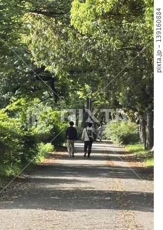 新緑の公園を散歩する人 新緑の公園を散歩する人 139160884