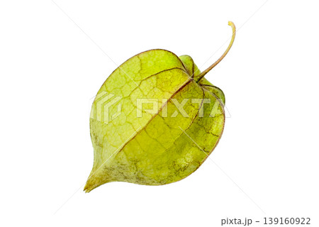rotten apple isolated on white background rotten apple isolated on white background 139160922