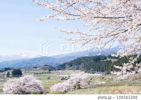 【山形新幹線】満開の桜と吾妻連峰を背に走行する特急つばさ 139161208