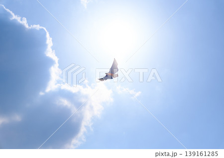 青空に舞う鳥型カイトと白い雲、自由と夏のレジャー 139161285
