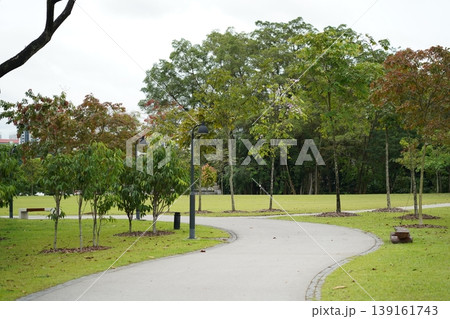 Scenic Park View with Trees and Winding Path Scenic Park View with Trees and Winding Path 139161743