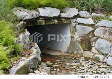 Stone Culvert with Yellow Flowers and Green Grass Stone Culvert with Yellow Flowers and Green Grass 139161761