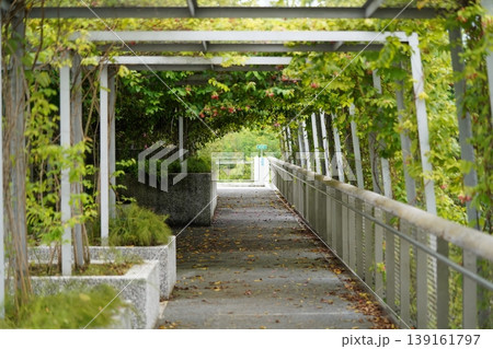 Covered Walkway with Flowering Plants and Lush Greenery 139161797