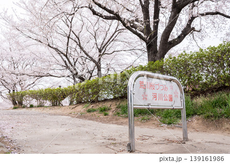 【荒川桜づつみ河川公園】満開の桜に包まれた公園 【荒川桜づつみ河川公園】満開の桜に包まれた公園 139161986