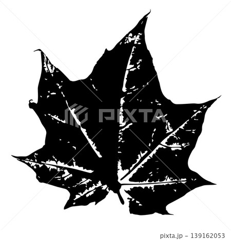 Maple leaf ink stamp. Herbarium print isolated on white. Black maple leaf imprint. Vector template for your creative designs. Maple leaf ink stamp. Herbarium print isolated on white. Black maple leaf imprint. Vector template for your creative designs. 139162053