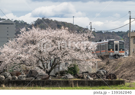桜と電車 桜と電車 139162840