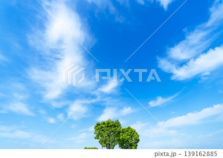 春の青空と雲と新緑 春の青空と雲と新緑 139162885