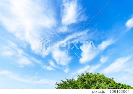 春の青空と雲と新緑 139163004