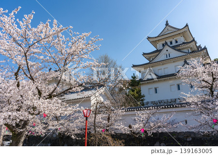 桜と大垣城 桜と大垣城 139163005