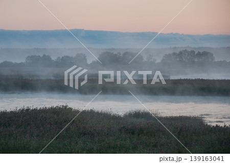 Early morning fog in the reeds and bushes of Kokemaenjoki river delta in Pori, Finland 139163041