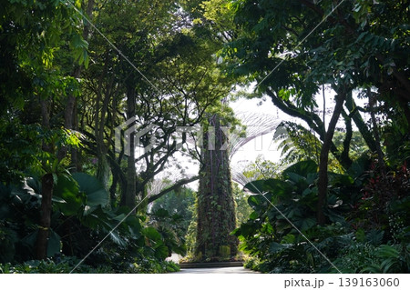 Gardens by the Bay in Singapore Lush Green Landscape Gardens by the Bay in Singapore Lush Green Landscape 139163060