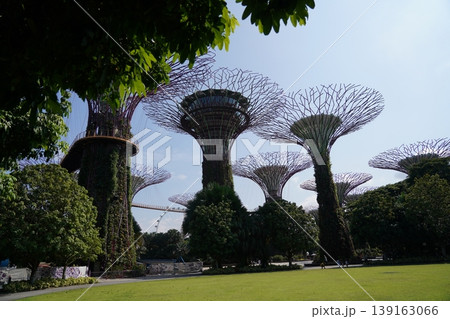 Gardens by the Bay Singapore Supertrees and Green Lawn Gardens by the Bay Singapore Supertrees and Green Lawn 139163066