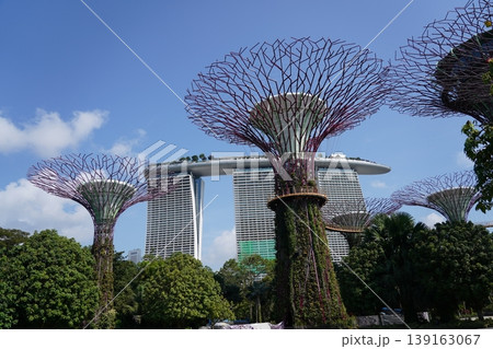 Gardens by the Bay Singapore Supertrees and Marina Bay Sands Gardens by the Bay Singapore Supertrees and Marina Bay Sands 139163067