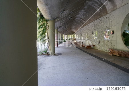 Botanical Walkway Architectural Design with Epipremnum aureum Botanical Walkway Architectural Design with Epipremnum aureum 139163073