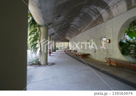 Underpass Tunnel with Plants and Artistic Walls 139163074