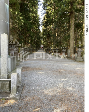 参道の先にある鳥居 参道の先にある鳥居 139163321